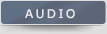 Audio Excerpt