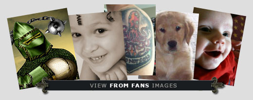 View 'From Fans' images