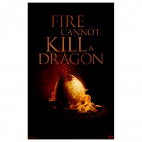 Game of Thrones Fire Cannot Kill A Dragon Poster [11×17]
